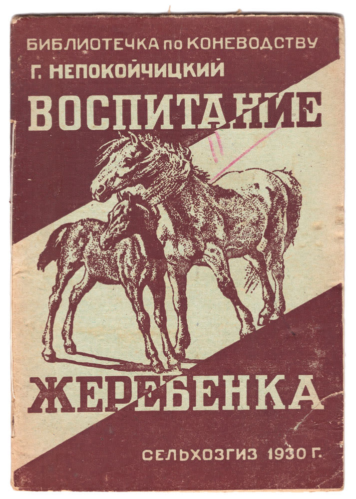 произведение жеребенок шолохов