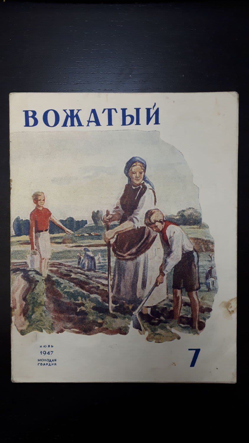 Плакат вожатый