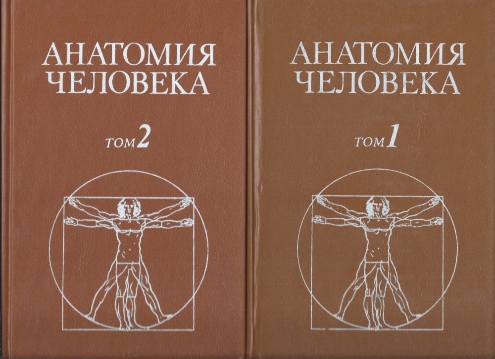 Анатомия атлас сапин. , лысенков н. Анатомия учебник. Брыксина. Нормальная анатомия человека сапин билич.